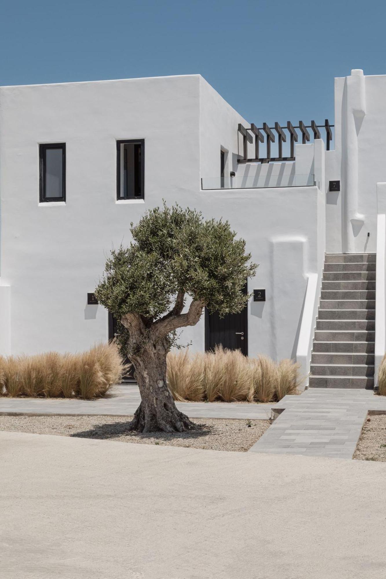 Laguna Suites In Mazera Mykonos Mykonos Town المظهر الخارجي الصورة